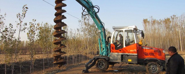 了解一下(老婆粉了解一下)