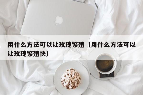 用什么方法可以让玫瑰繁殖（用什么方法可以让玫瑰繁殖快） 