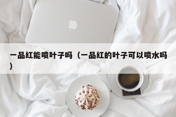 一品红能喷叶子吗（一品红的叶子可以喷水吗） 