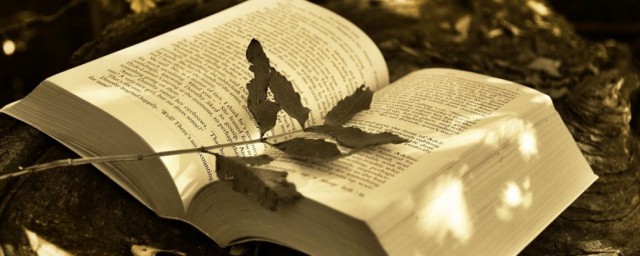 人间七苦解释(人间有七苦,请问是哪七苦)