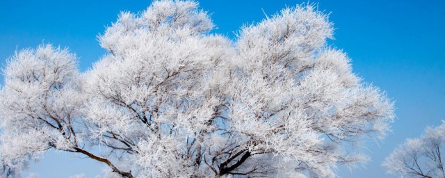 中国四大奇观是指什么(我国四大奇观是)