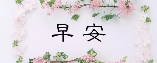 最漂亮早安问候语有哪些(最漂亮早安问候语图片正能量)