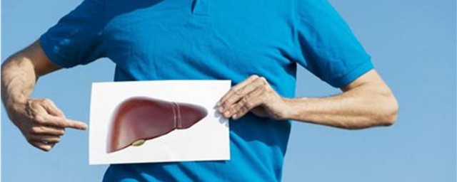 怎么调理肝(怎么调理肝肾功能)