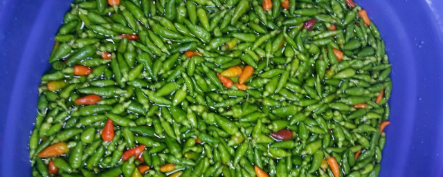 如何清洗干净辣子(辣子弄到手上怎么洗掉)