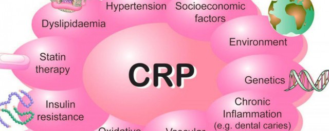 什么是crp(什么是CRP)