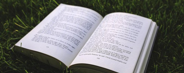 法律的本质解释(怎么理解法律的本质)