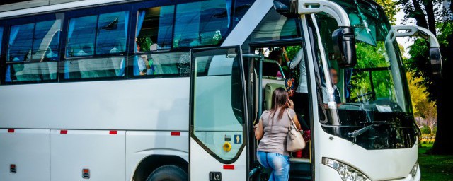 b照能开的车(B照可以开什么车子)