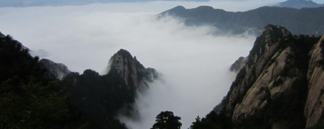 五岳归来不看山的五岳指啥(五岳归来不看山中的五岳指什么)