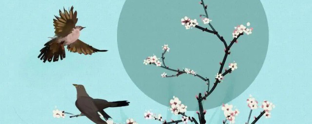 古诗中的幽禽指的是啥鸟(诗中“幽禽”指的是)