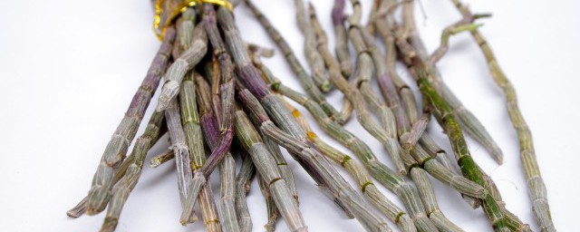 石斛养殖的方法(石斛的家庭种植方法及繁殖)