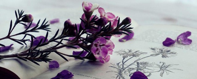 驻车档解释(驻车档位介绍)