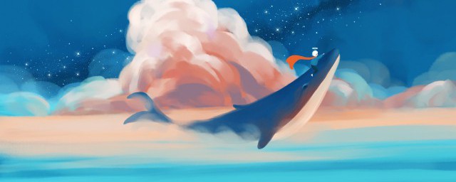 鲸鱼的象征意义(鲸鱼寓意象征)