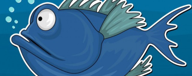 如何养殖塘角鱼(家养塘角鱼)