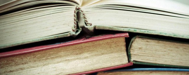 sqdd解释(sq的意思)