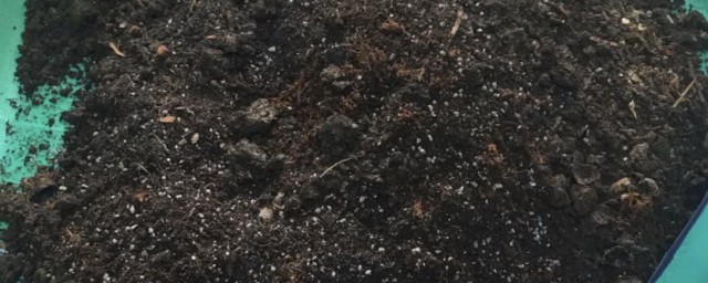 花生壳可不可以做肥料(花生壳能直接做肥方法)