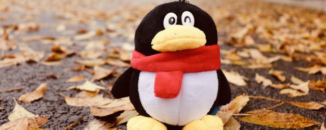 qq幸运字符解释(qq幸运字符含义大全)