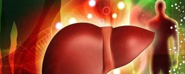 精血同源与两脏的关系(与精血同源密切相关的两脏是)