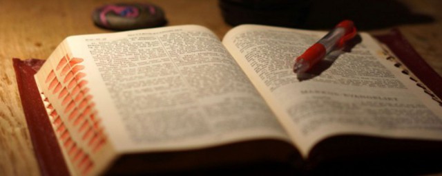 手指讲了什么内容(手指讲了什么道理)