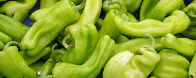 炒尖椒怎么做(大肠炒尖椒怎么做)