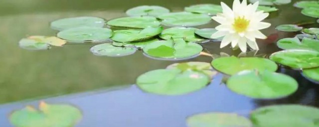 一天短一线谚语的来历(短一点的谚语大全)