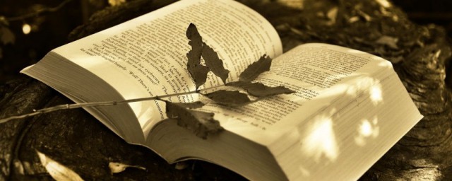 工作闲暇健身法五则介绍