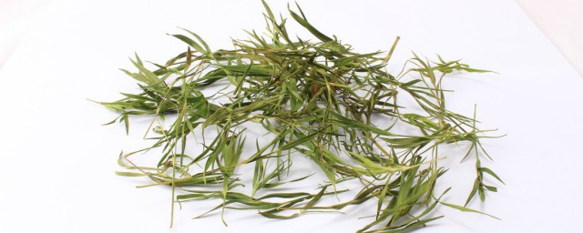 竹叶茶能长期喝吗(淡竹叶茶能长期喝吗)