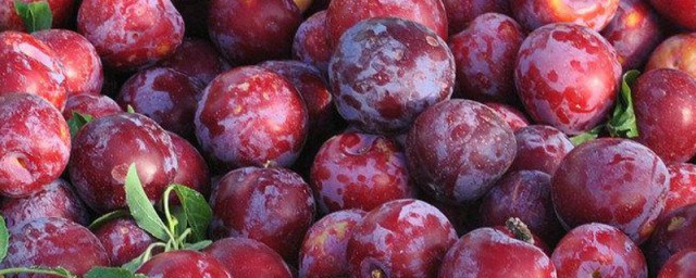 鲜英格是什么意思(英格的意思)