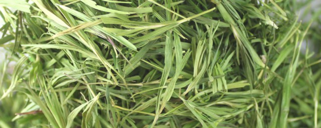 白莲花和绿茶婊的区别有哪些(白莲花和绿茶什么区别)