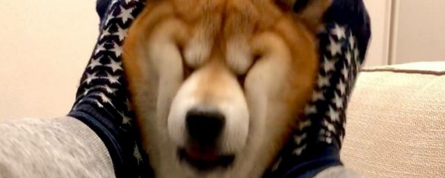 笑容渐渐消失解释(笑容消失一定意味着什么)