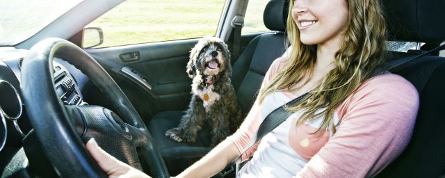 汽车key指示灯的意思(汽车故障灯key什么意思)