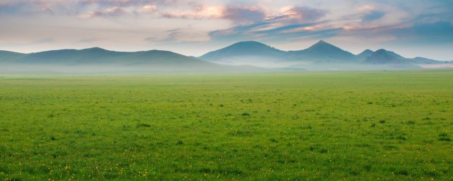若尔盖草原介绍(若尔盖大草原介绍)