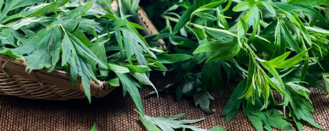 三伏天能够天天用艾叶泡脚吗(三伏天用艾叶泡脚的好处和坏处)