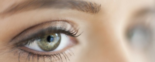 五感分别是哪些(五感是哪些?)