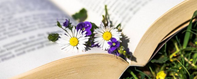 黑暗物质尘埃解释(黑暗物质解读)