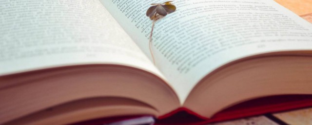 领头羊解释(领头羊解释造句)