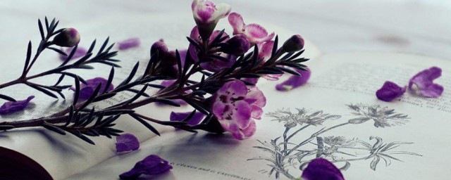 纬线解释(什么叫纬线)