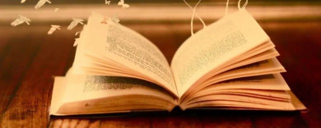 半瓶阳光内容(半瓶阳光短文)