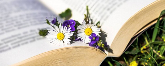 家长感谢老师的话简短暖心(六一家长感谢老师的话简短暖心)