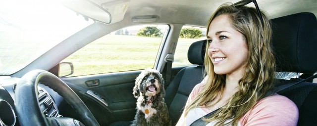 汽车上auto什么意思(auto汽车上是什么意思)