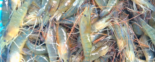 罗氏虾怎么做(芥末罗氏虾怎么做)