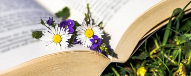 喽啰的主要内容是什么(喽啰的意思是什么)