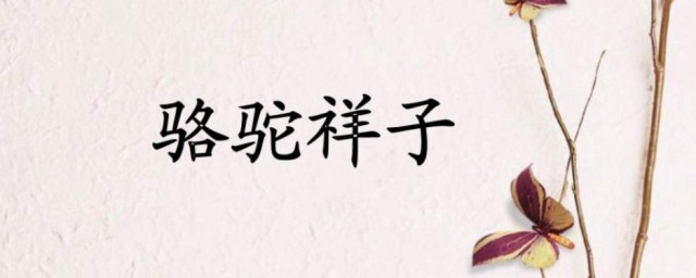 骆驼祥子第九章内容介绍(骆驼祥子第十九章内容介绍)