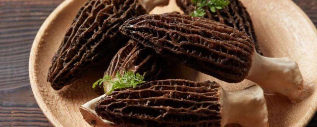 盘点羊肚菌的功效和禁忌(羊肚菌的功效与作用及食用方法)