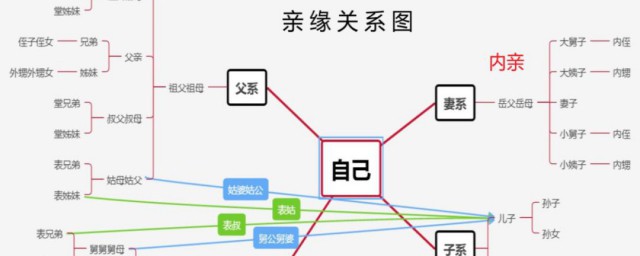 六亲是指什么(六亲是指什么意思)