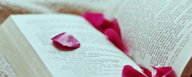 有亦可无亦然的理解(有亦可无亦然这句出自哪里)