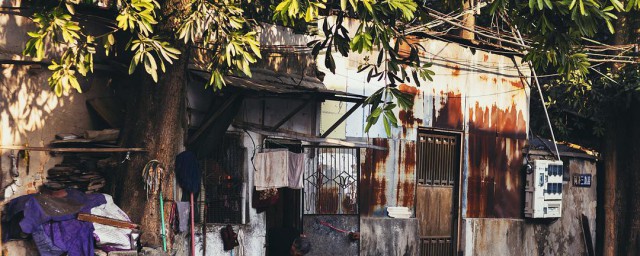 人间真实简介(什么叫人间真实)