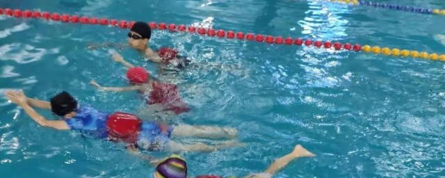 关于学习蛙泳的基本动作(学蛙泳的标准动作)