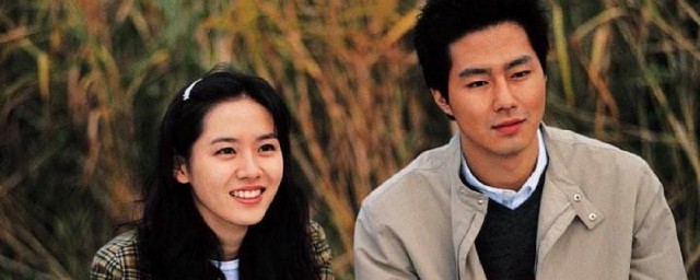 假如爱有天意剧情简介(假如爱有天意有几部)