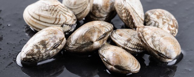 蛤蜊有沙如何清洗干净(如何洗蛤蜊才能吐干净沙子)