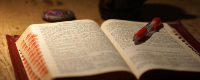 网络新词浪解释(网络名词浪是什么意思)